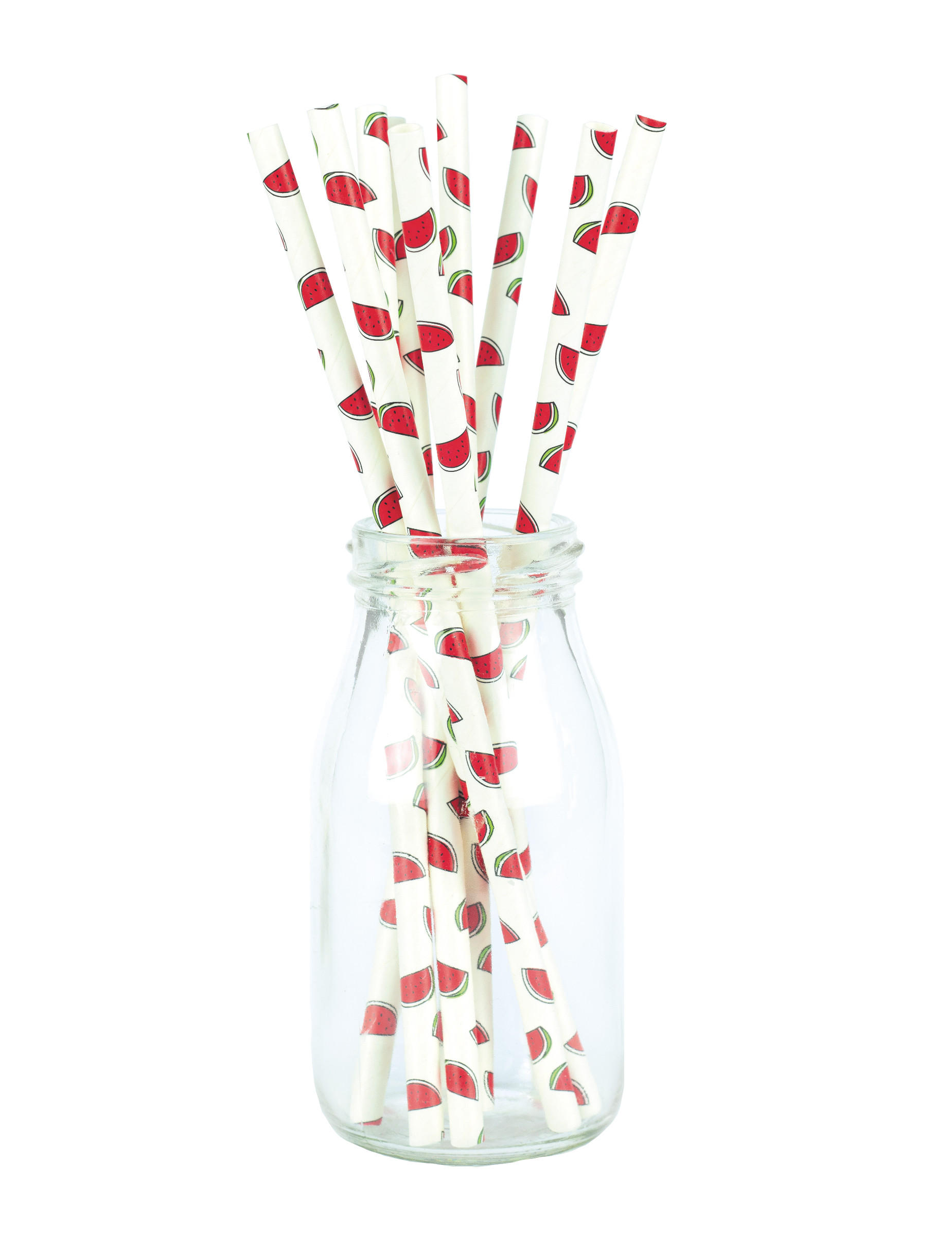 10 Wassermelonen Trinkhalme aus Pappe 20 cm für Cocktails