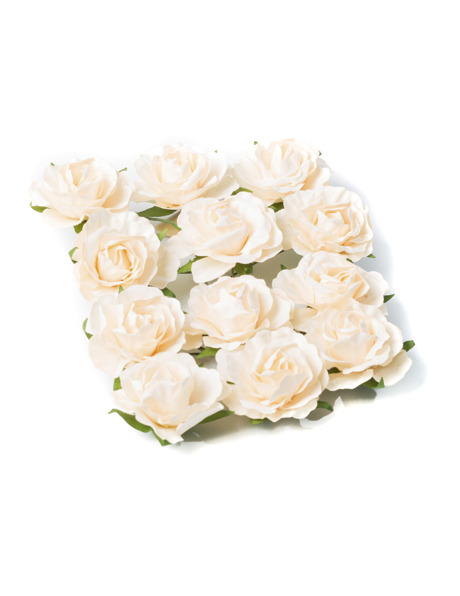 12 Deko Rosen Elfenbein 3