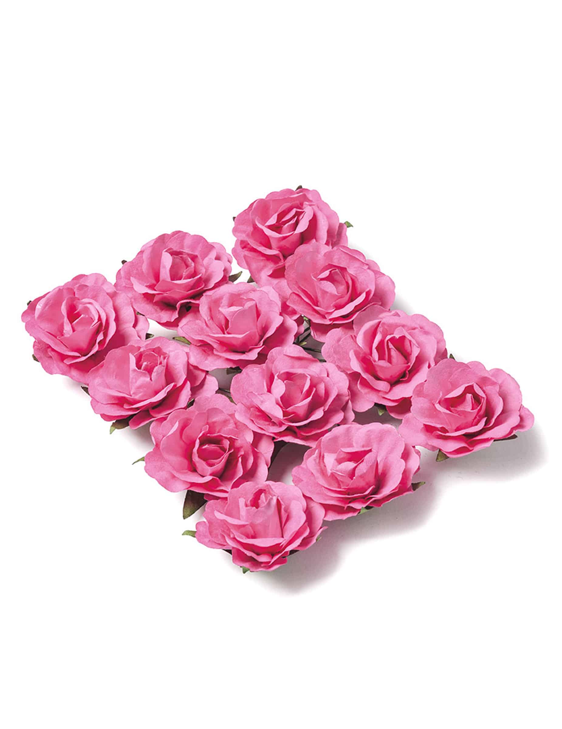 12 Deko Rosen Fuchsia