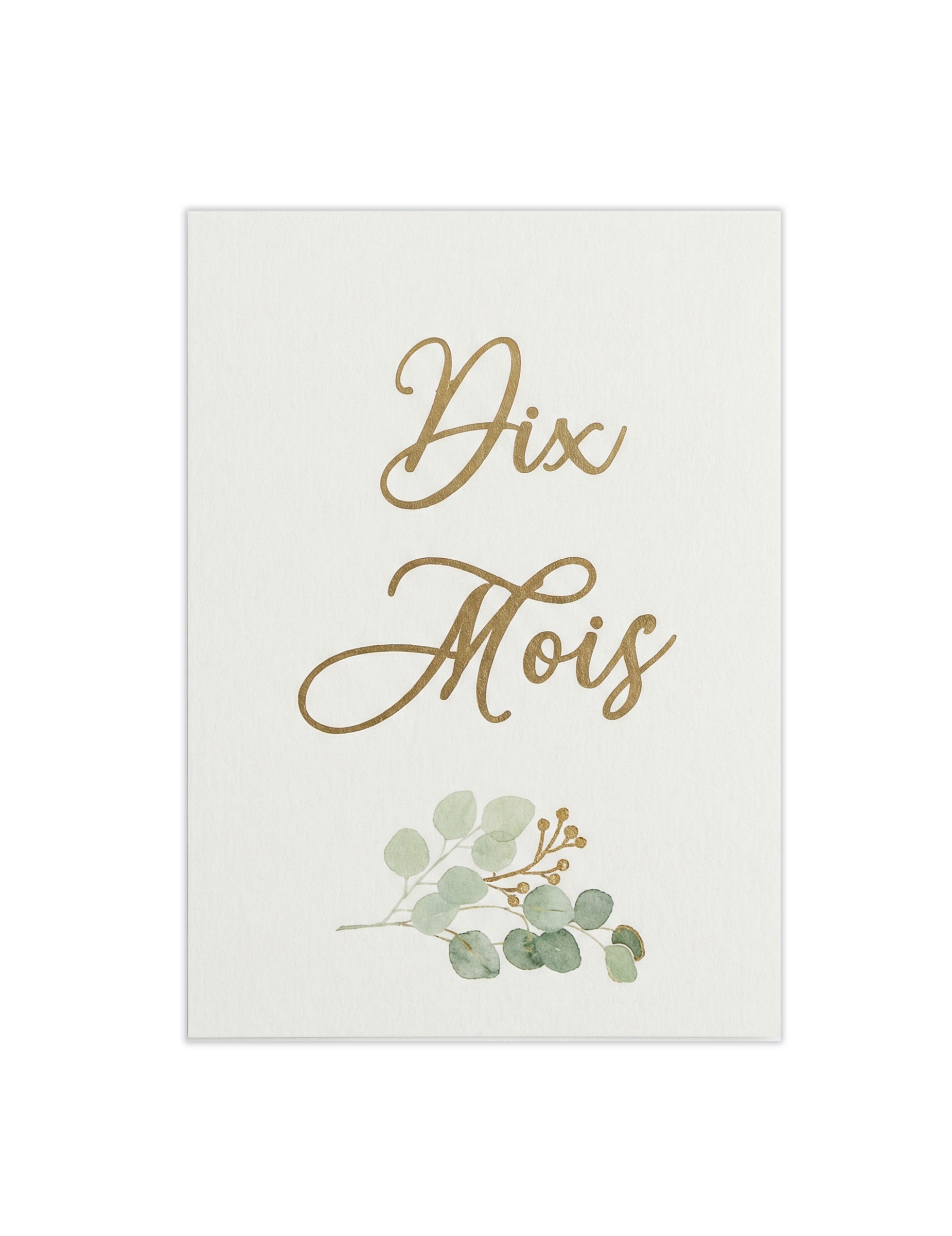 18 Baby Meilensteinkarten "Oh Baby" im Korketui - 14 x 19 cm