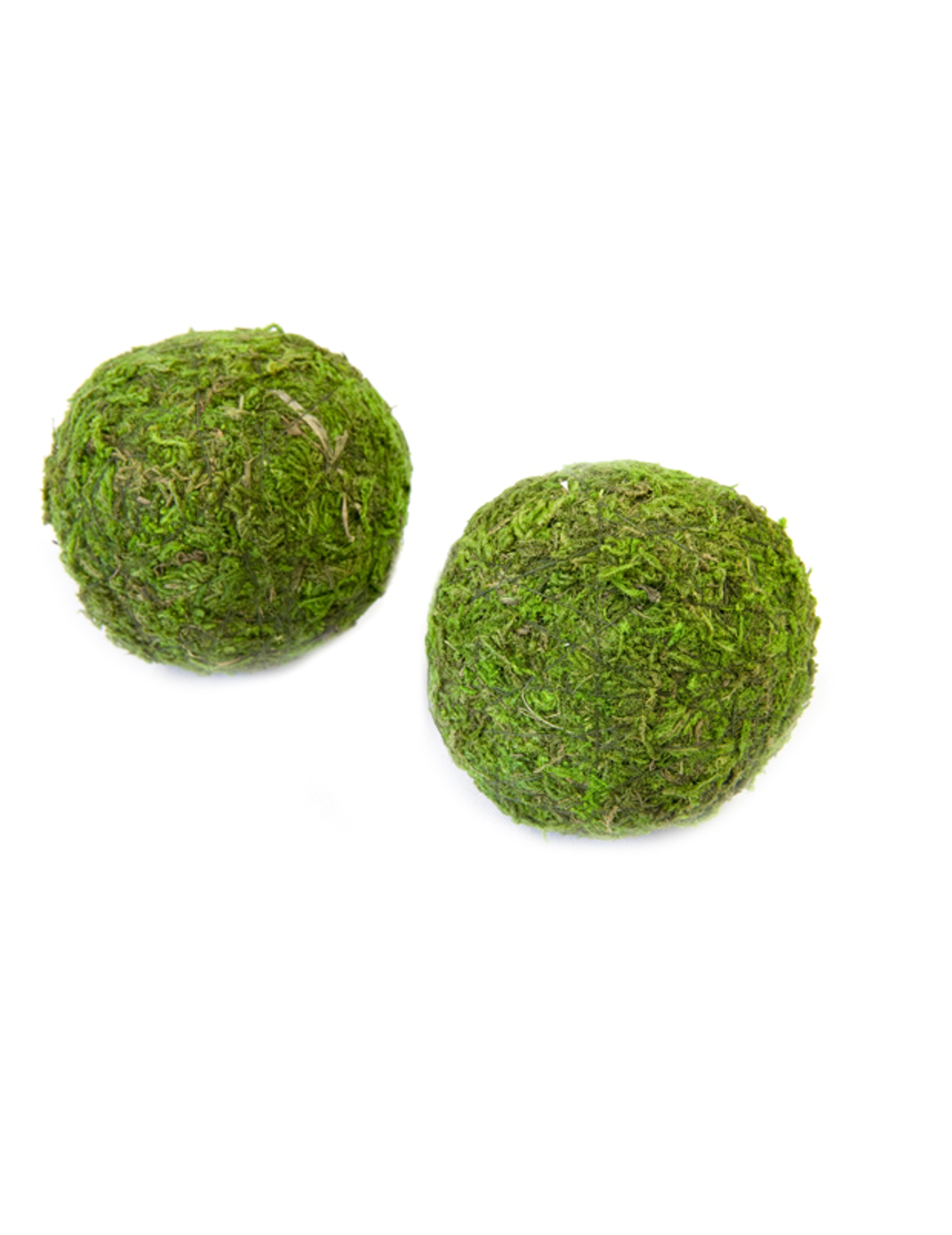 2 Deko-Mooskugeln in Grün 7 cm Tischdekoration