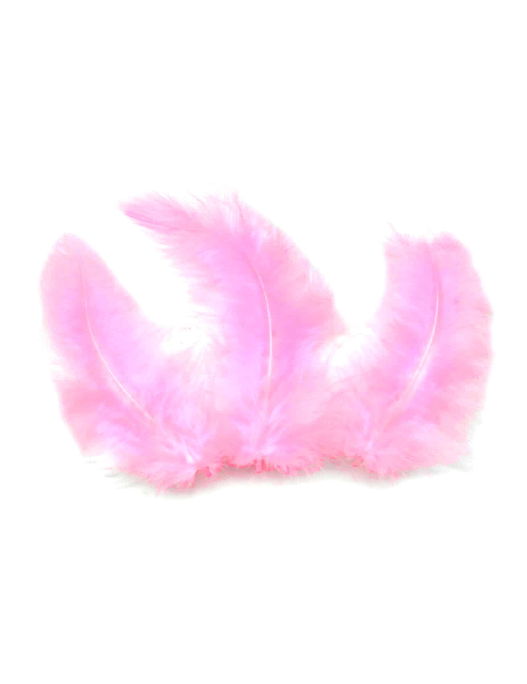 20 Deko Federn Rosa 5