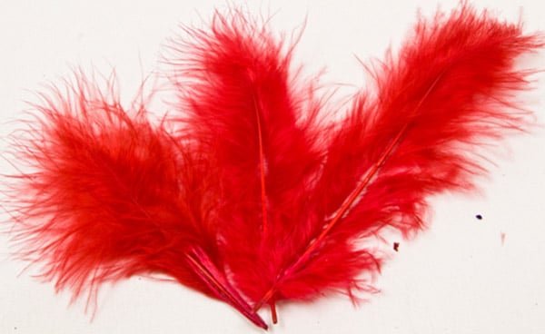20 Deko Federn Rot 5