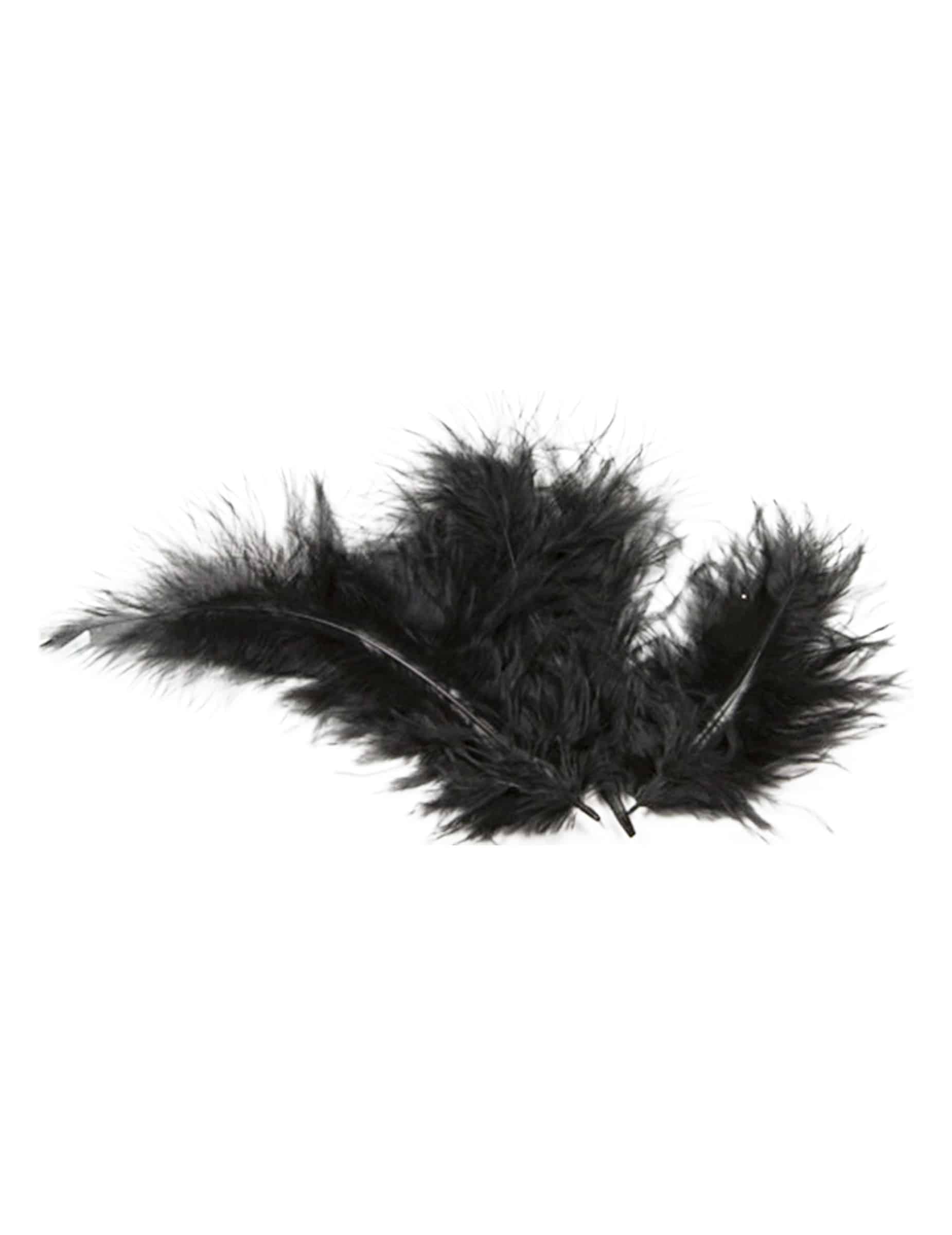 20 Deko Federn Schwarz 5