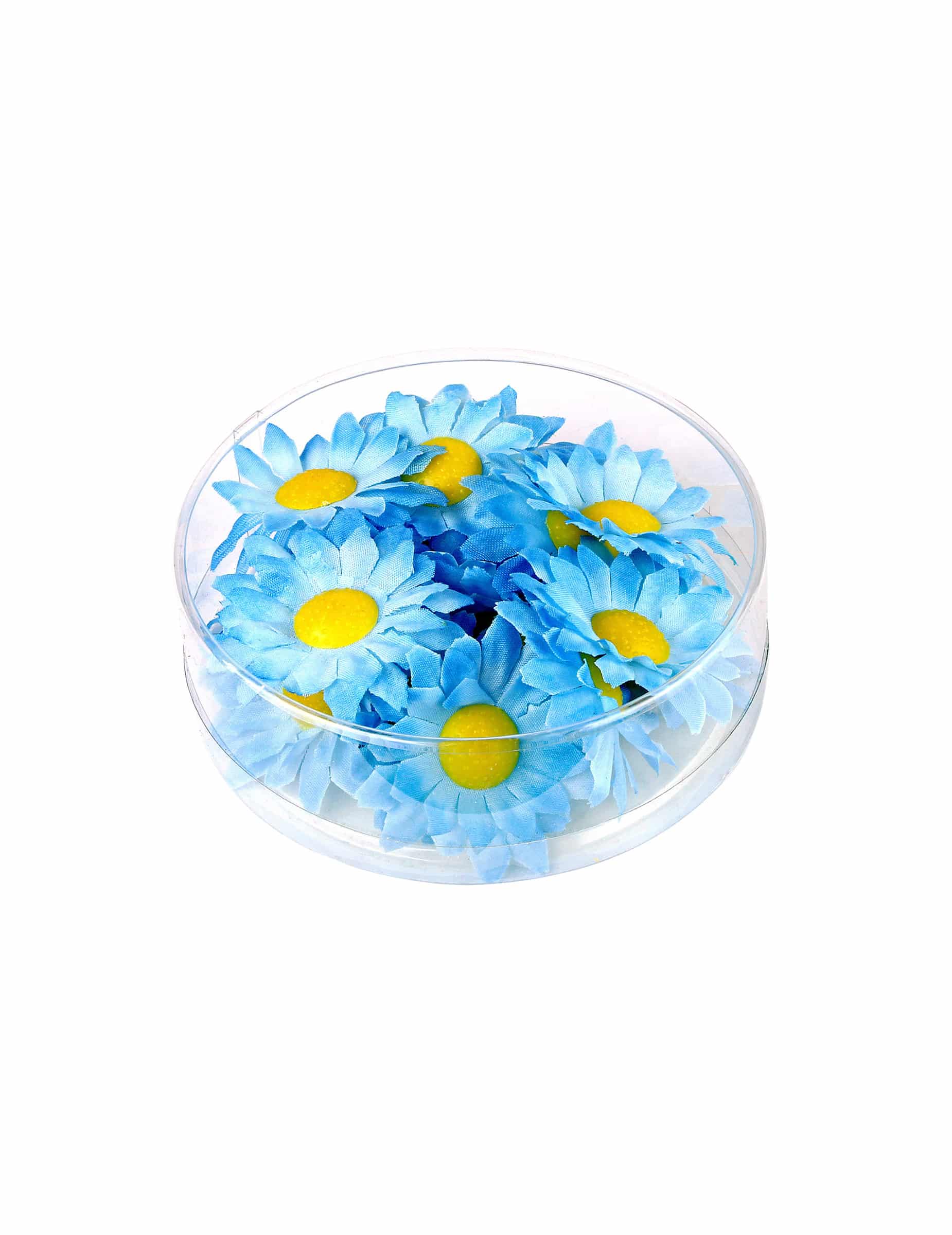 20 Margeriten Blütenköpfe Blau Set