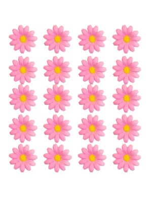 20 Margeriten Blütenköpfe Hellrosa Box