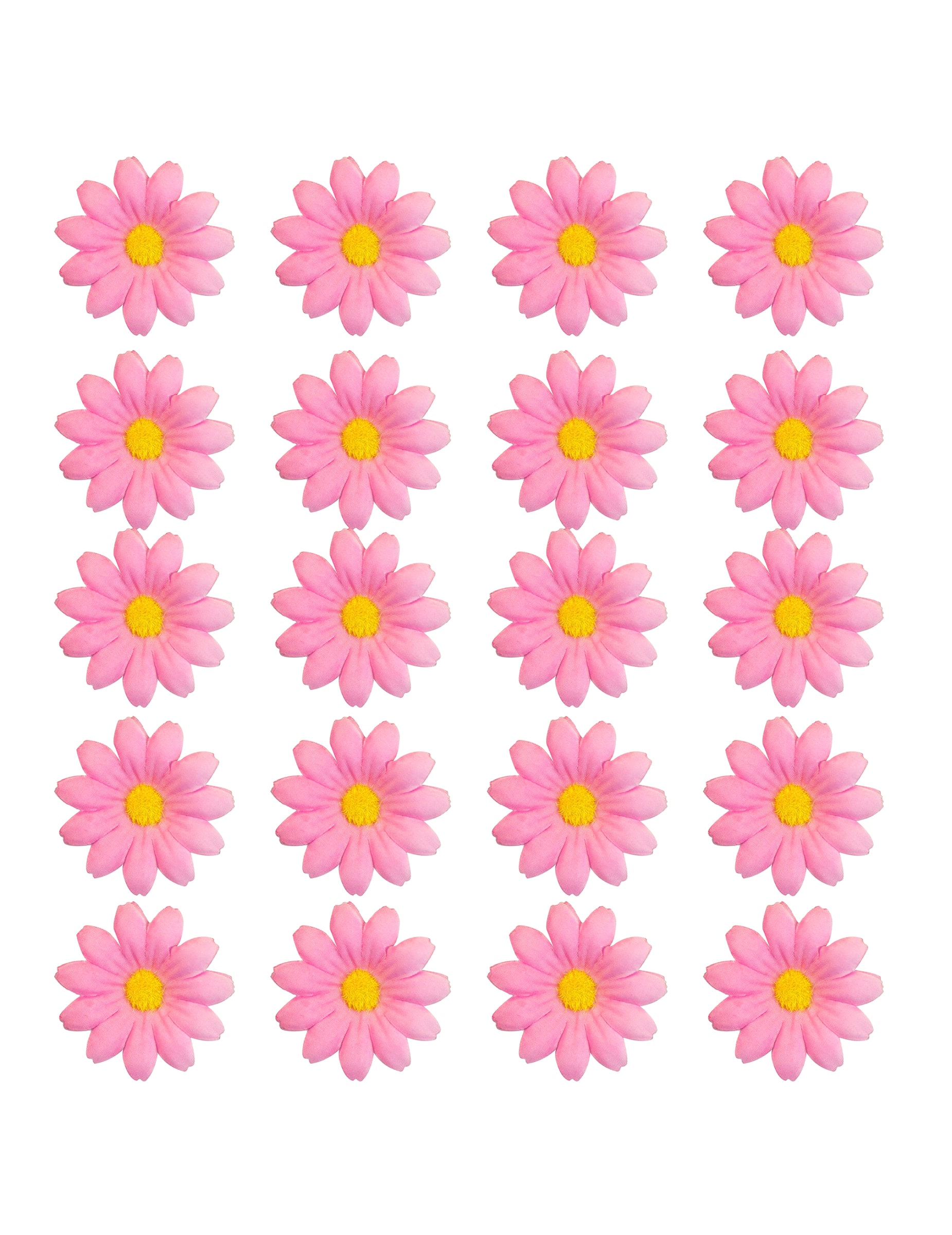 20 Margeriten Blütenköpfe Hellrosa Box