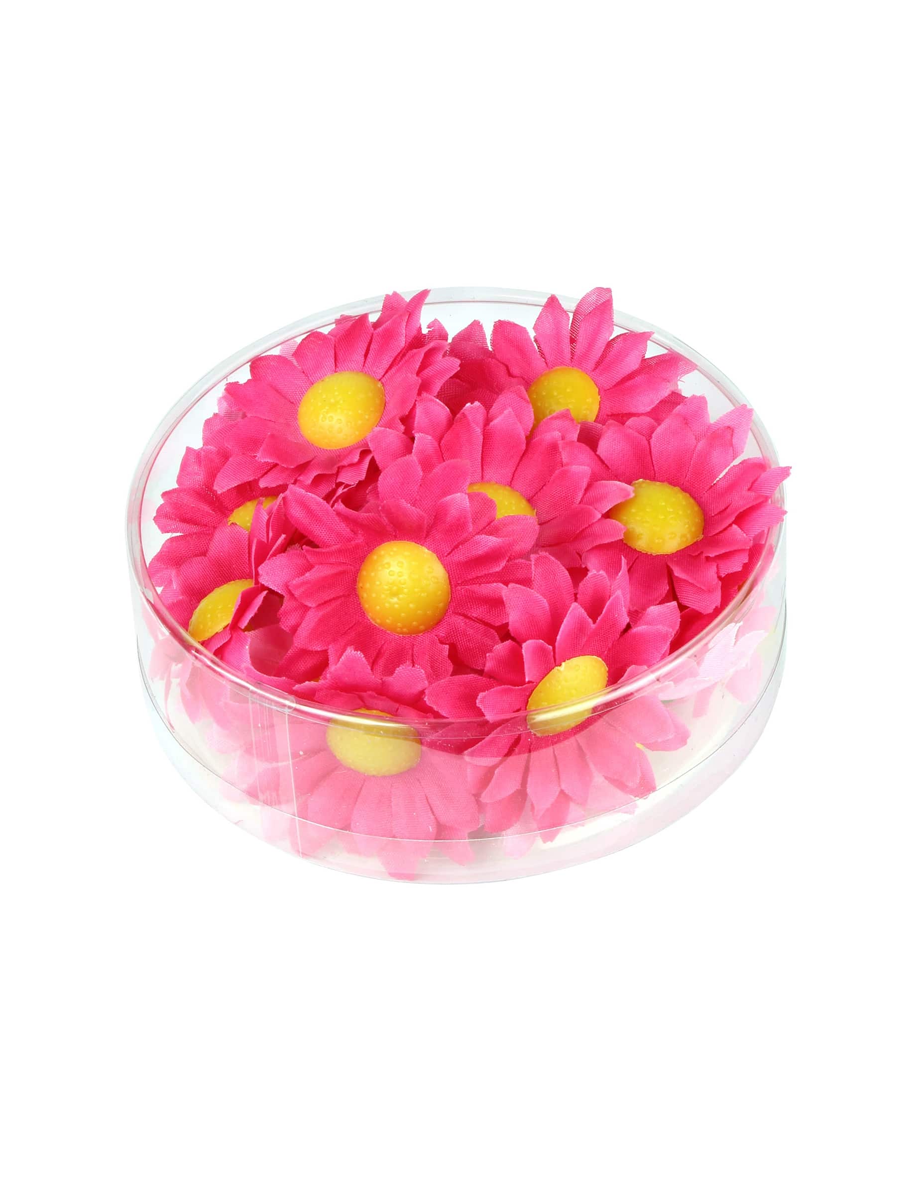 20 Margeriten Blütenköpfe Rosa Box