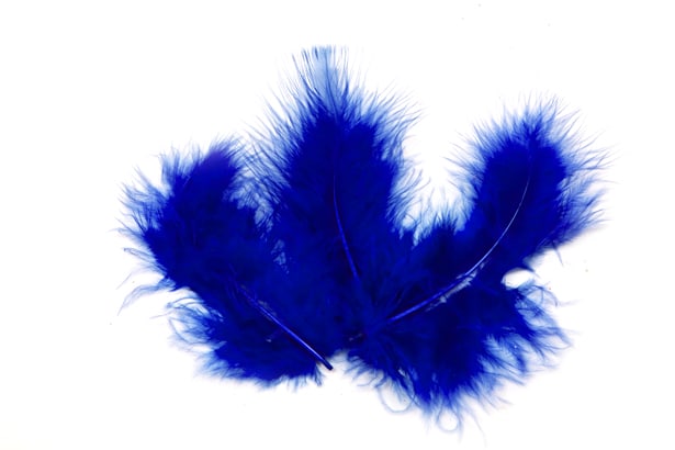 20 königsblaue Deko-Federn 10 x 4 cm für Hochzeiten