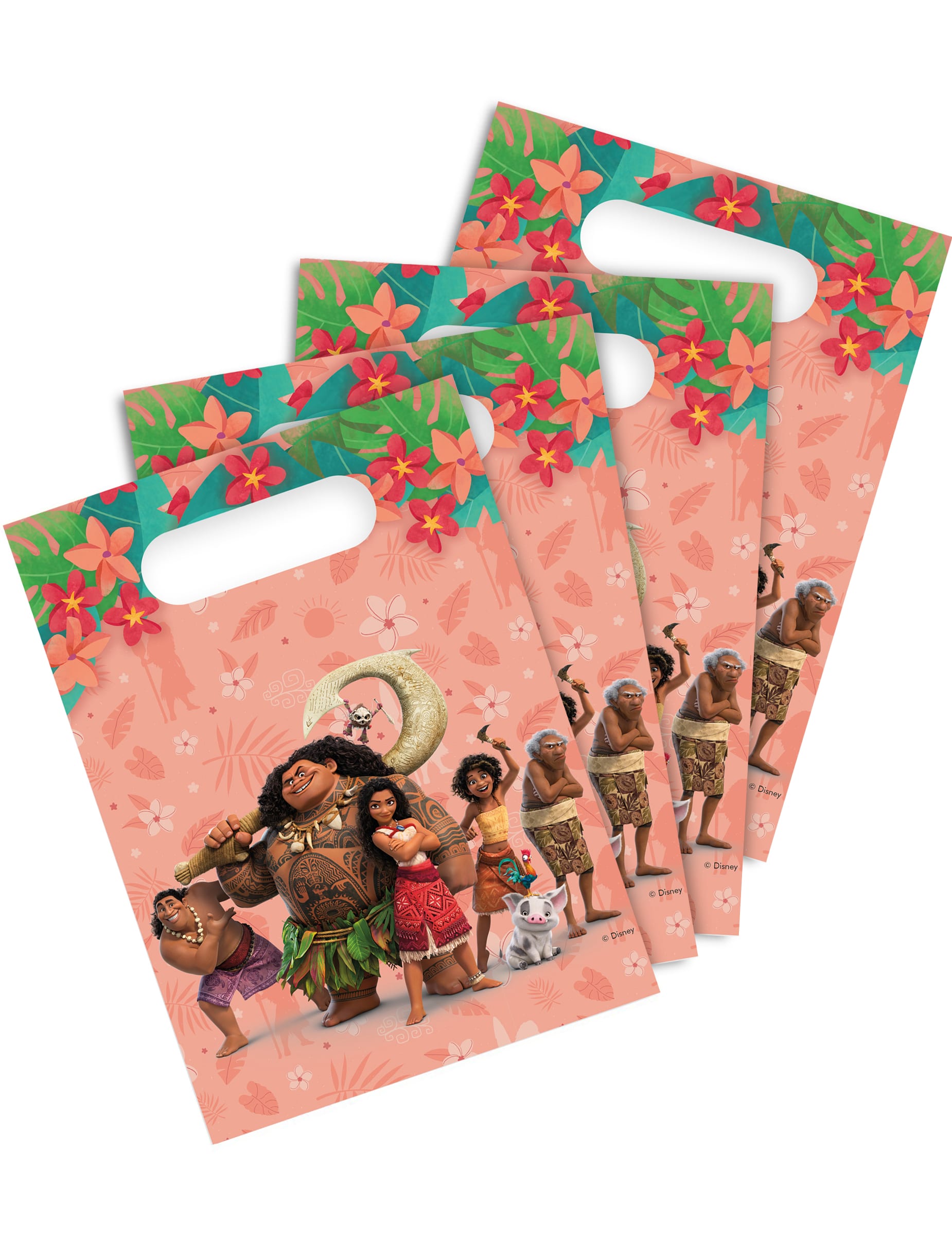 4 Geschenktüten Vaiana 2