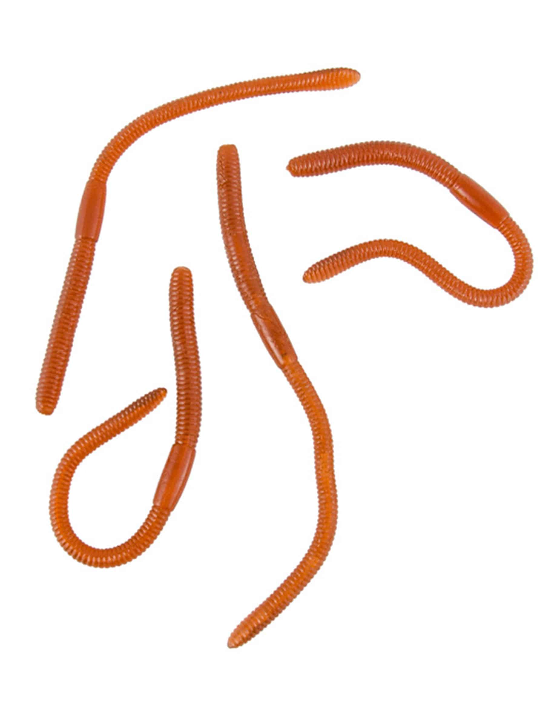 4 Gummiwürmer 17 cm lang