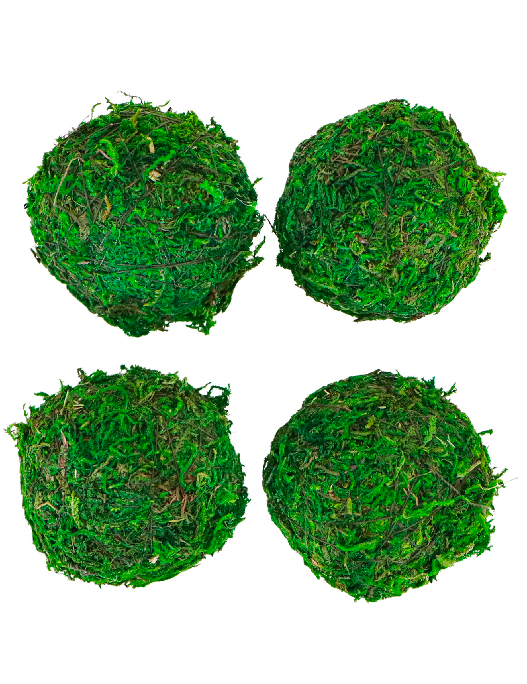 4 grüne Mooskugeln 6 cm Naturdekoration