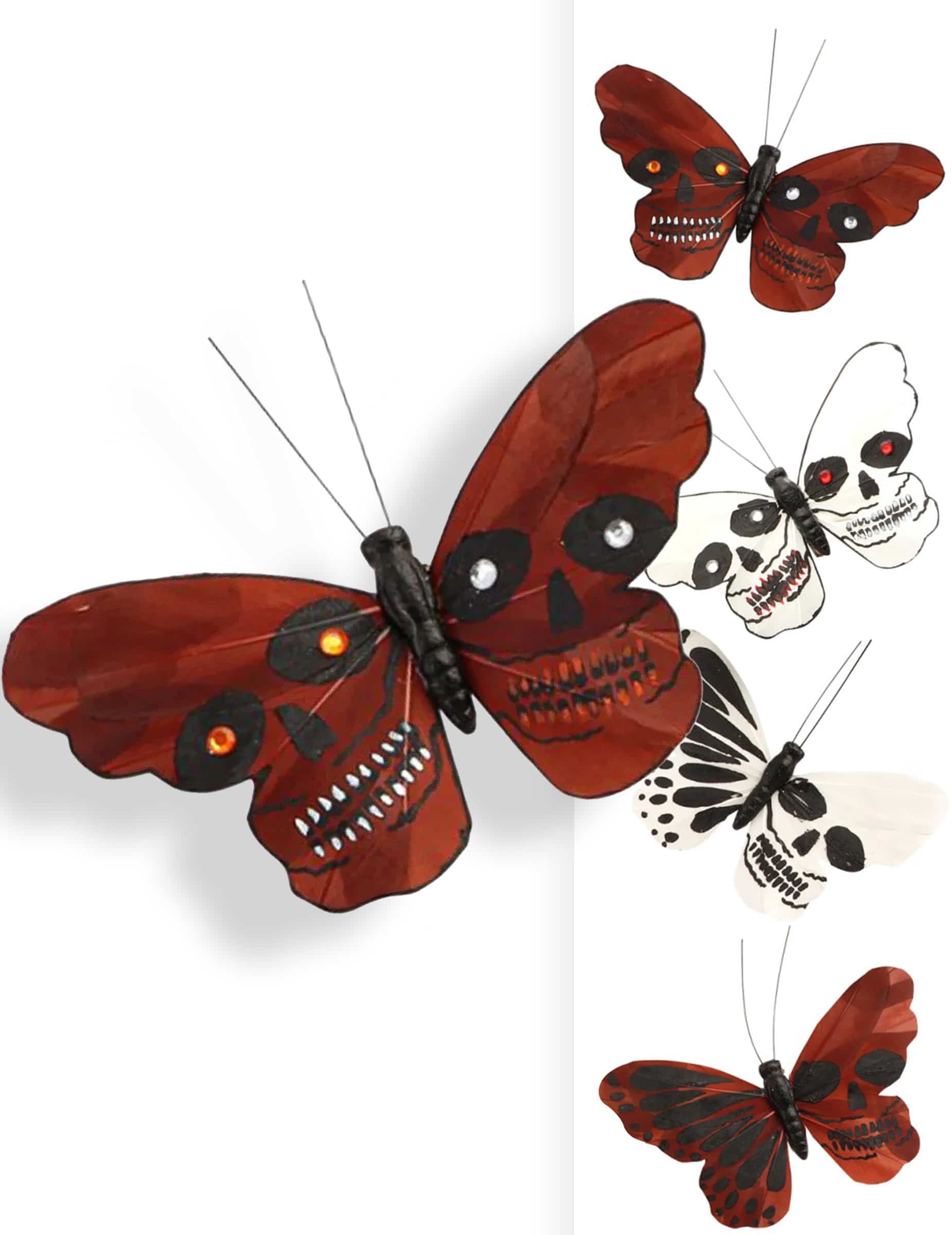4x Schmetterlinge