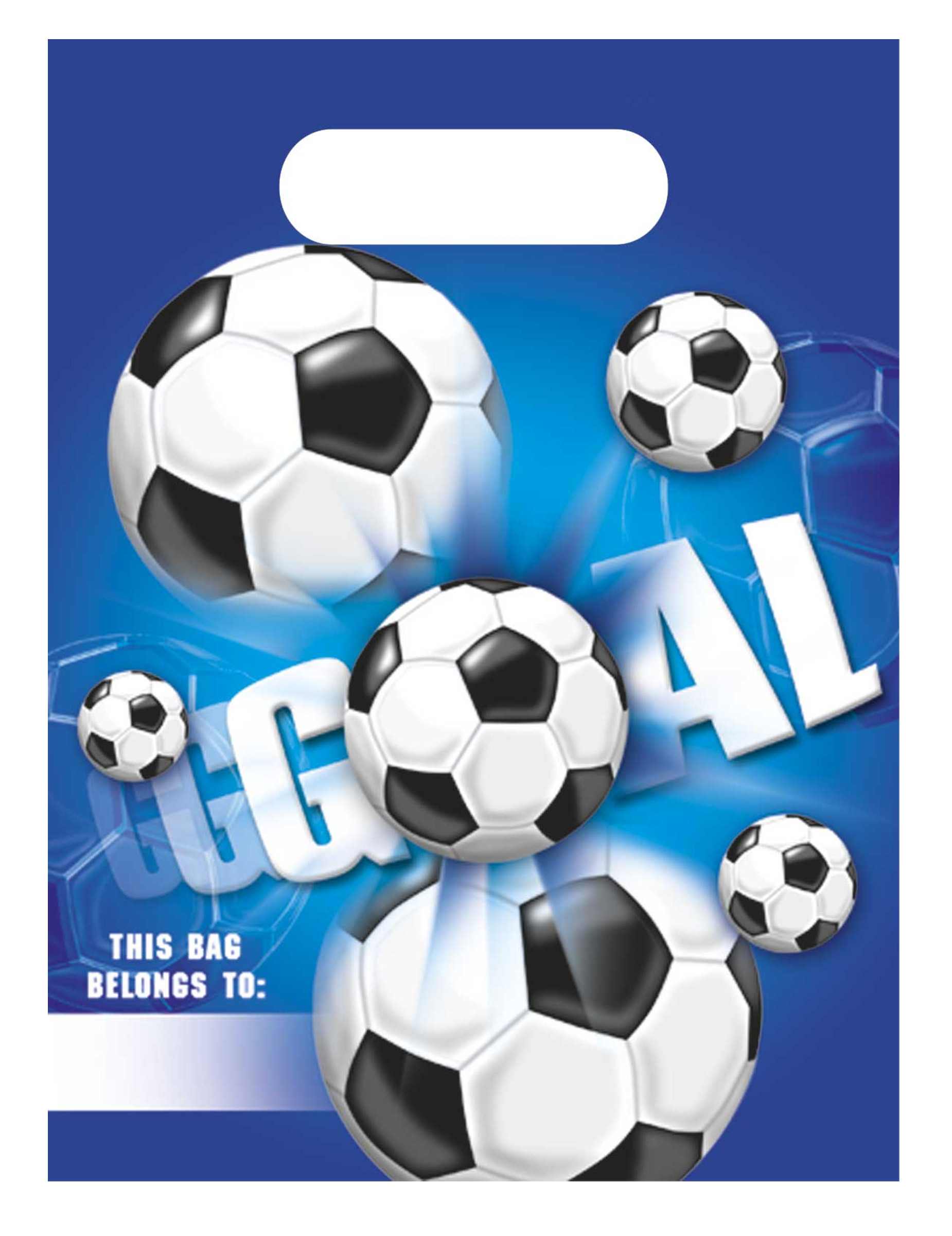 6 Partytüten Fußballfeld mit Fußballmotiv blau