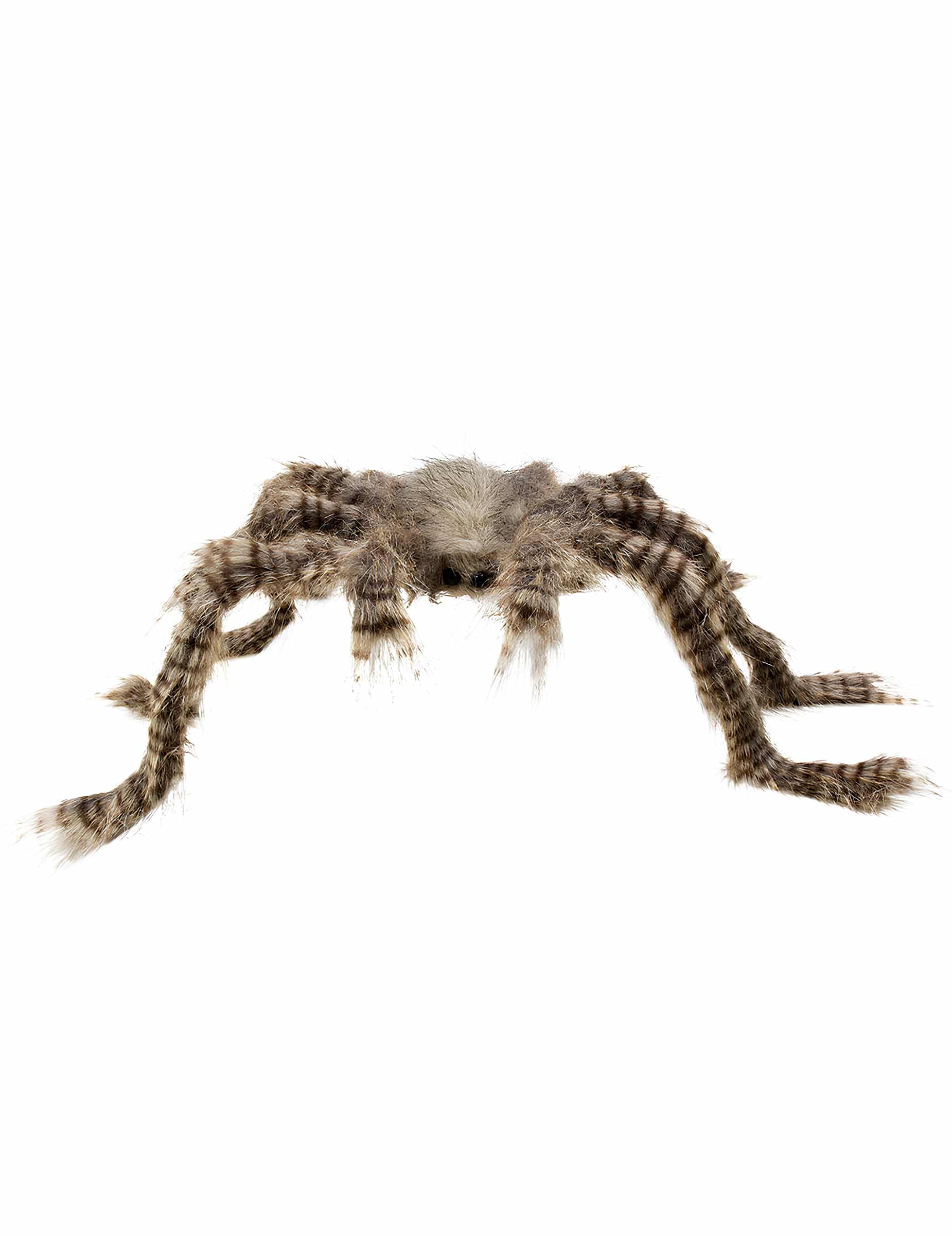 Behaarte Spinne braun 50 cm x 70 cm