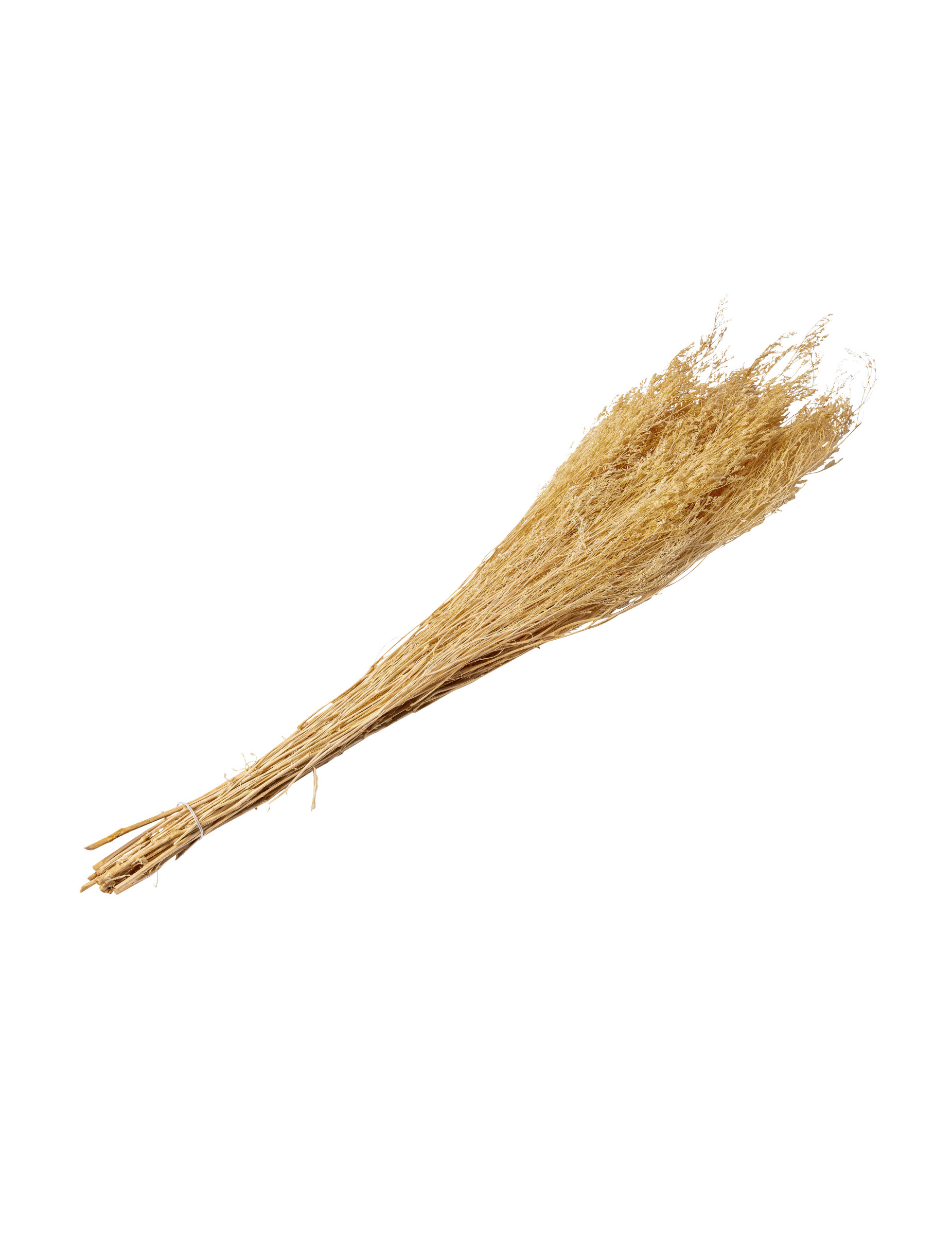 Bouquet getrocknete Zweige 50 g 75 cm Boho-Stil