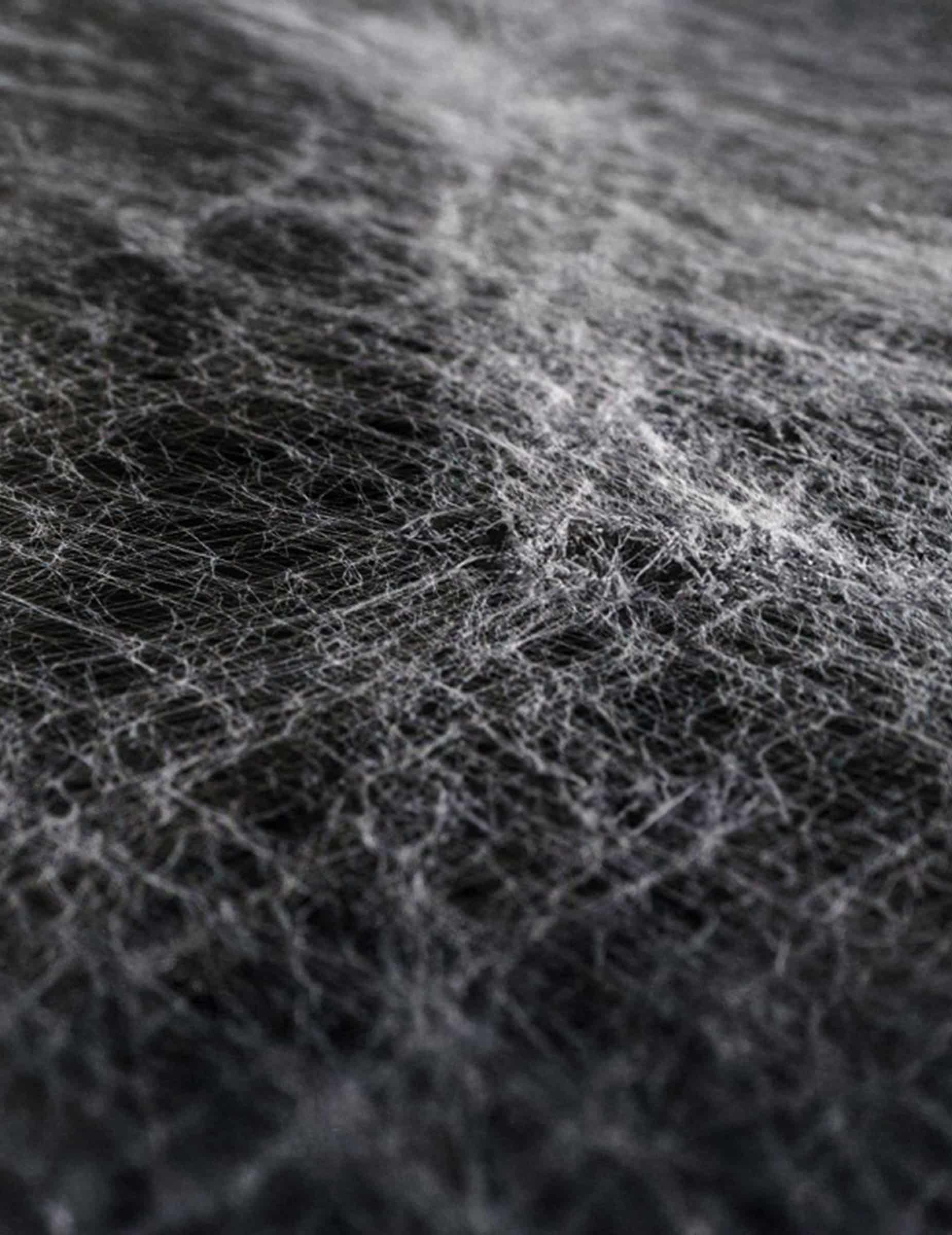 Dekoratives weißes 60 gramm Horror Spinnennetzgewebe