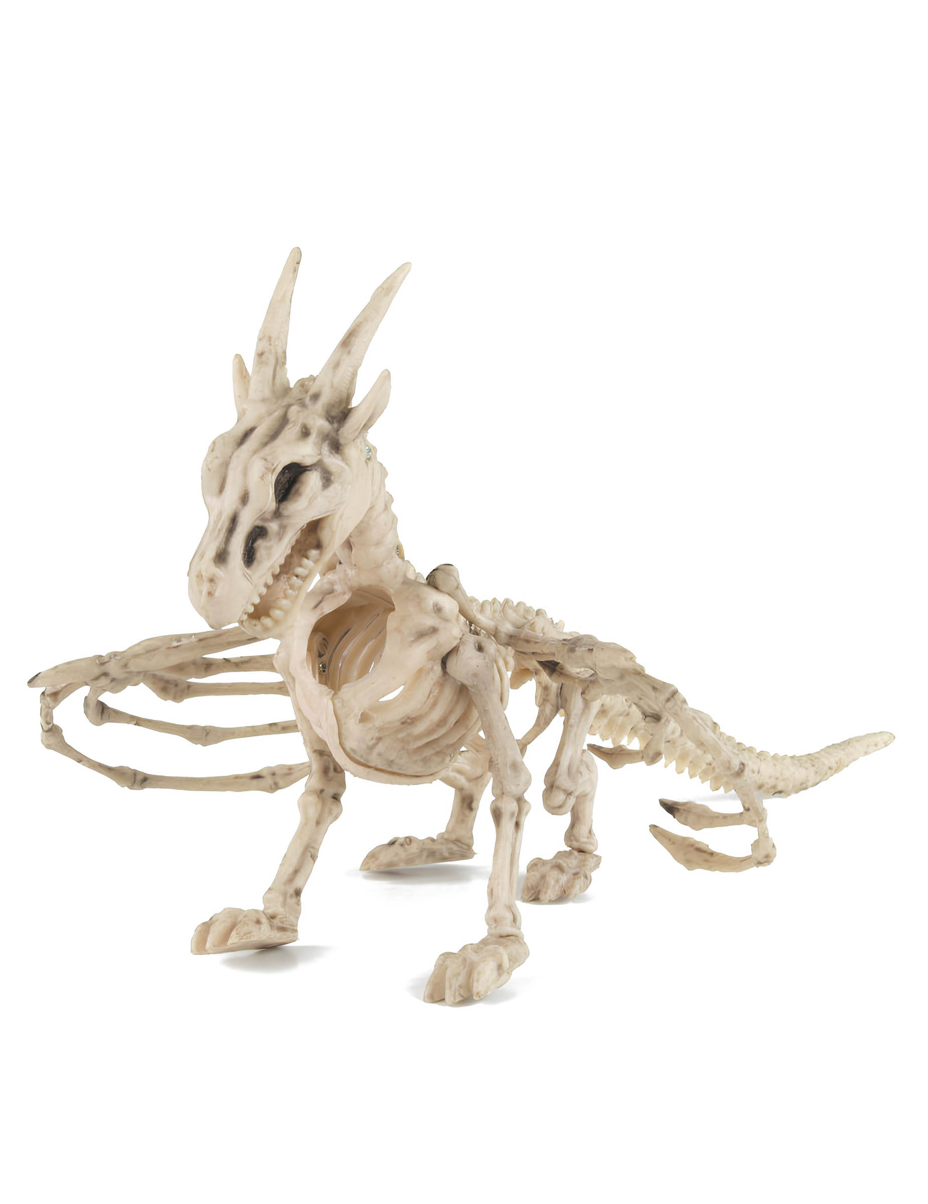 Drachenskelett 35 cm Halloween Deko