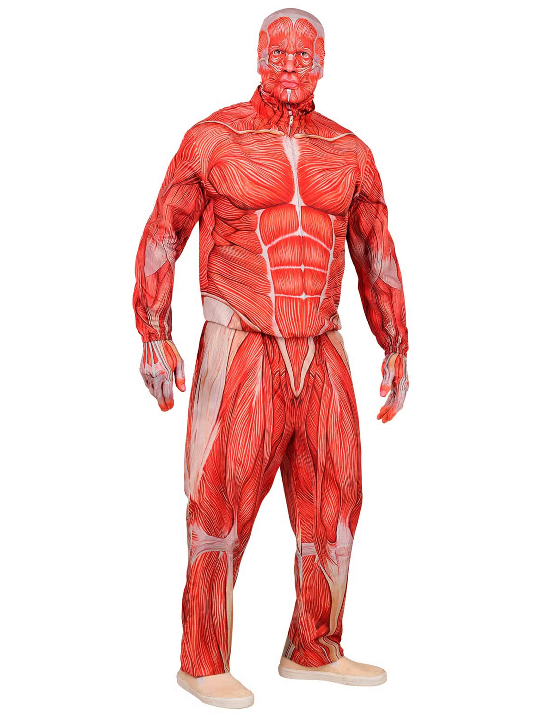 Ganzkörper Kostüm menschliche Anatomie für Erwachsene