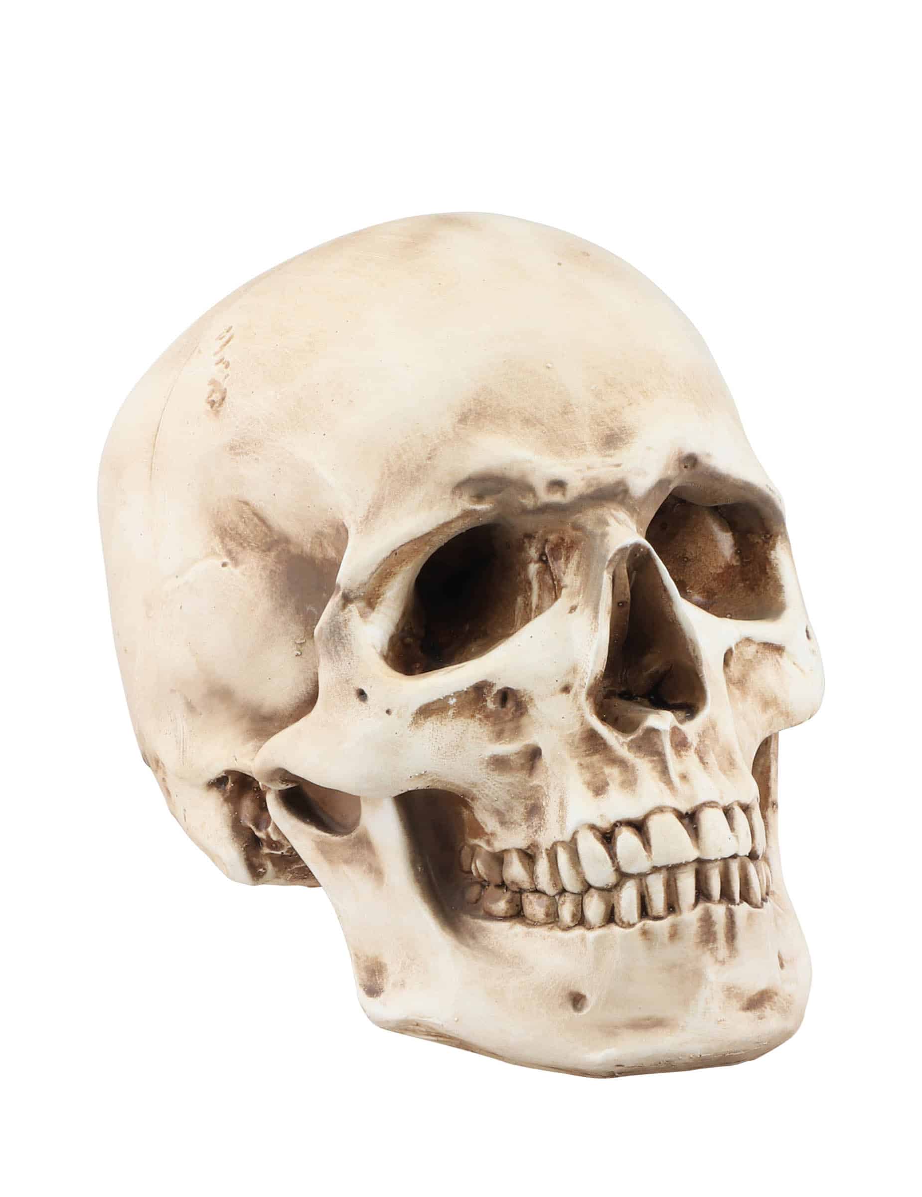 Halloween Totenkopf aus Harz 21cm