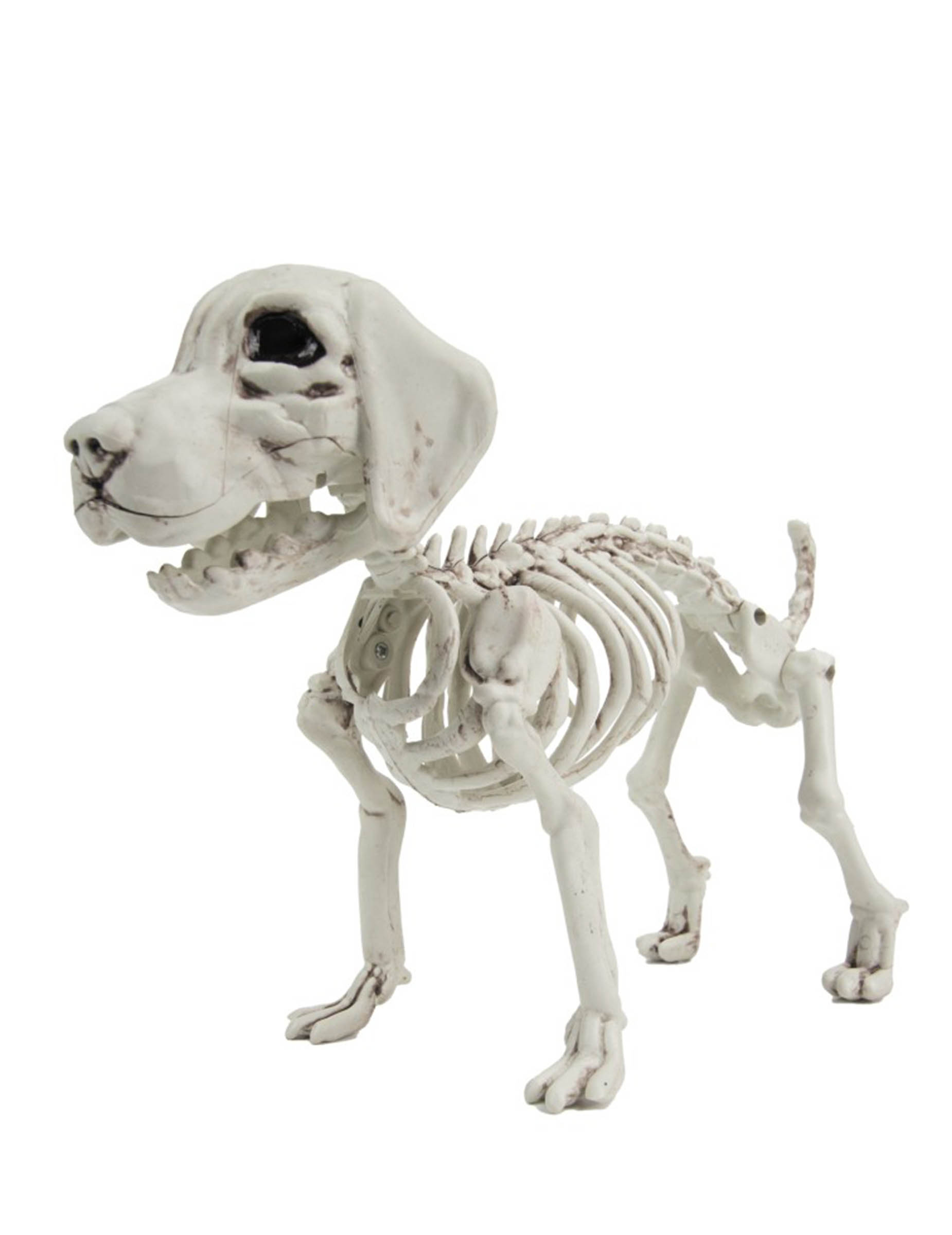 Hunde Skelett Deko für Halloween 26cm