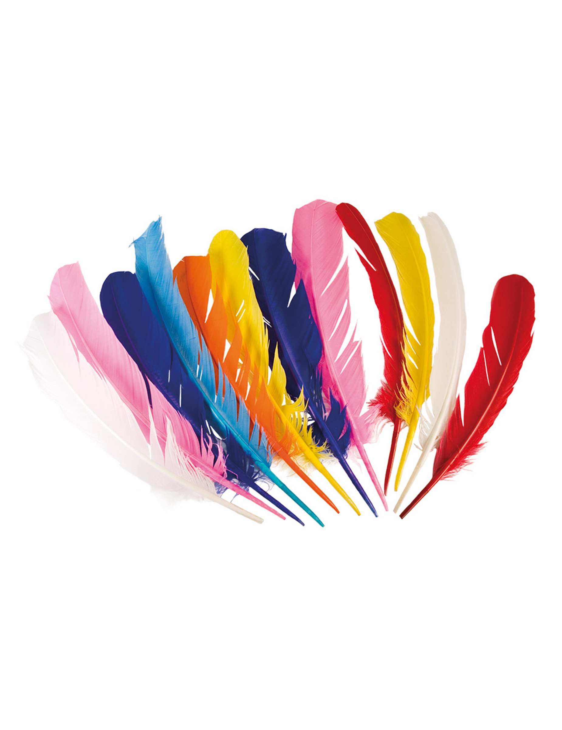 Indianer Federn Party-Deko 12 Stück bunt 30cm