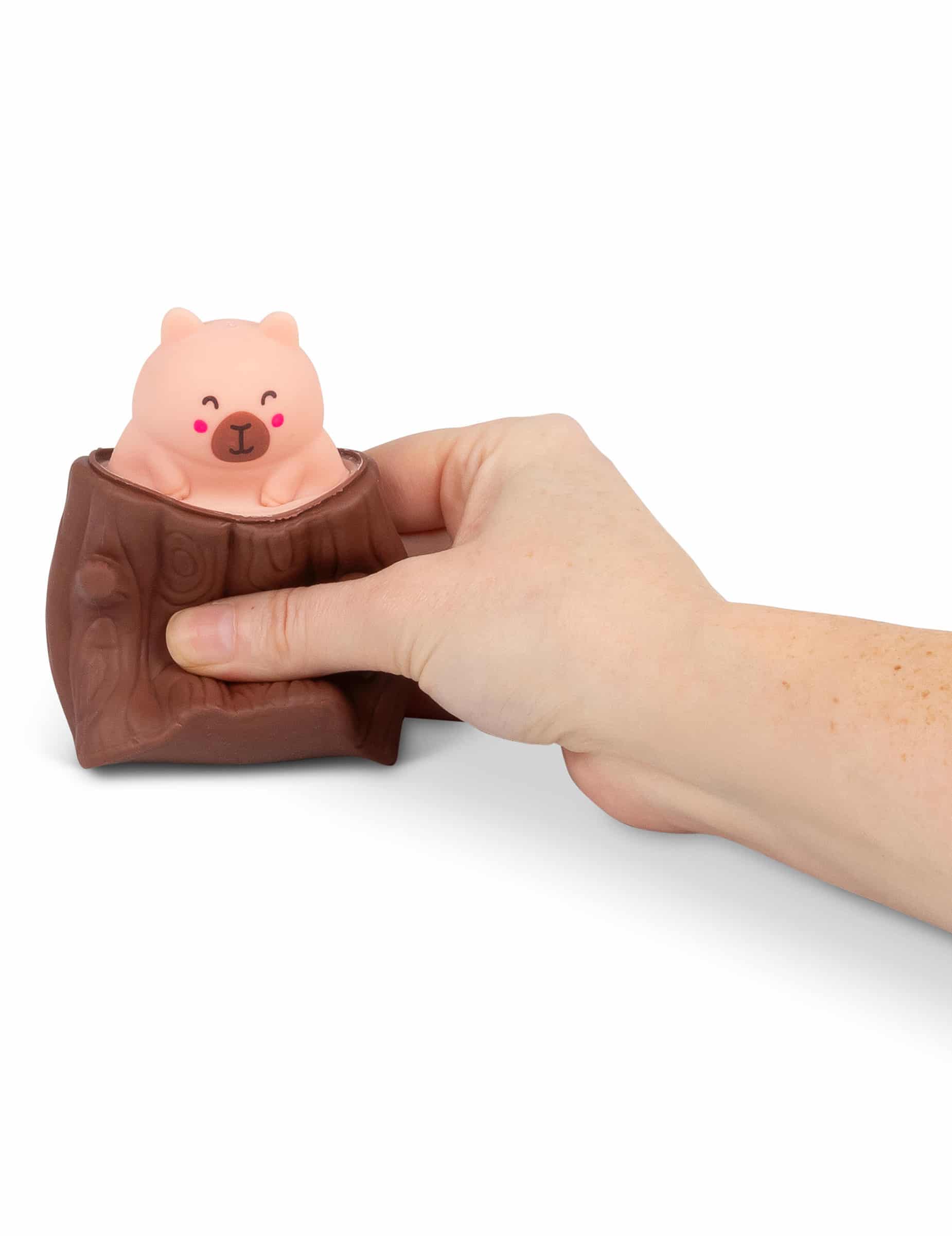 Pop Up Spielzeug Capybara