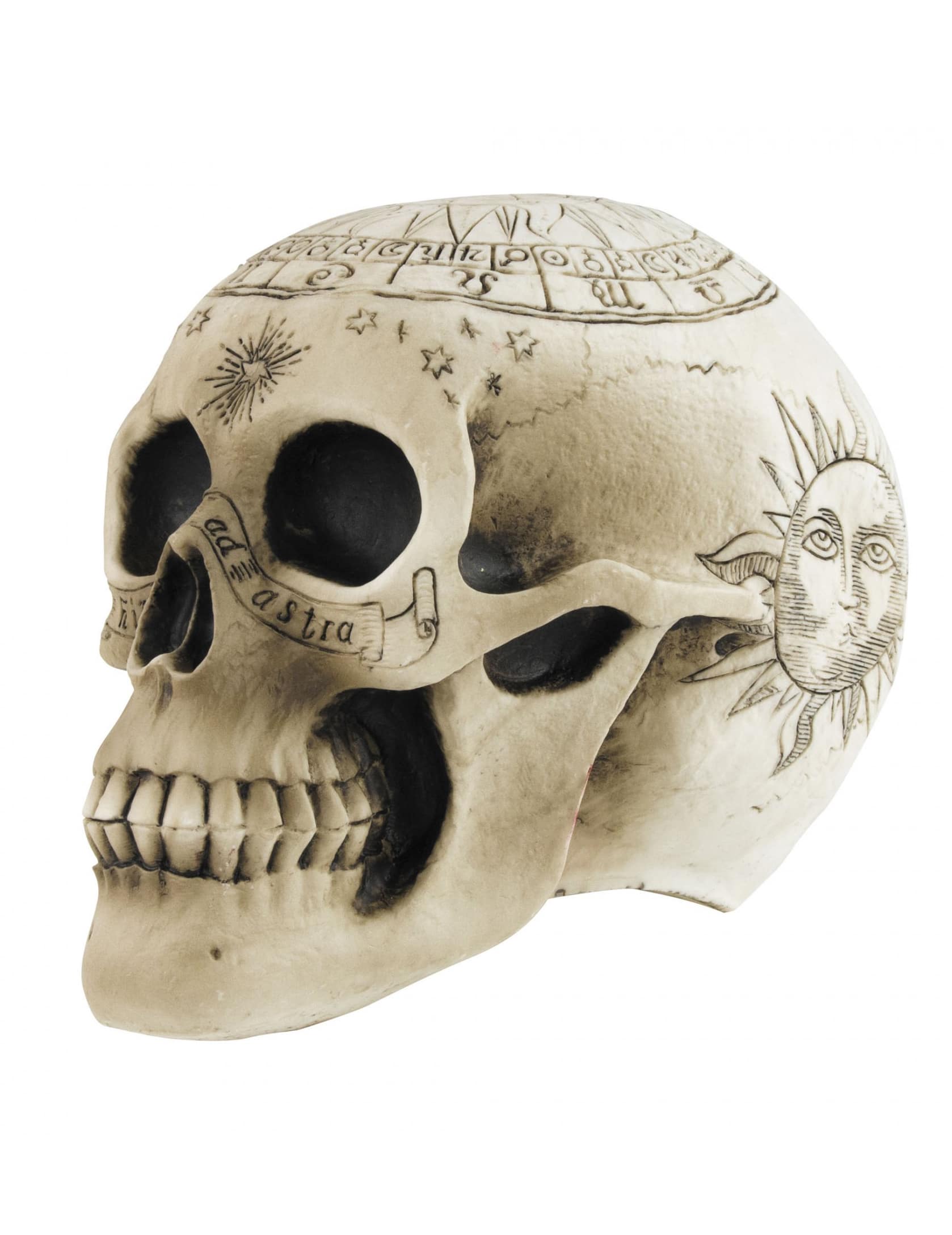 Totenkopf Schädel Partydeko Halloweendeko weiss 18 x 12 x 15 cm