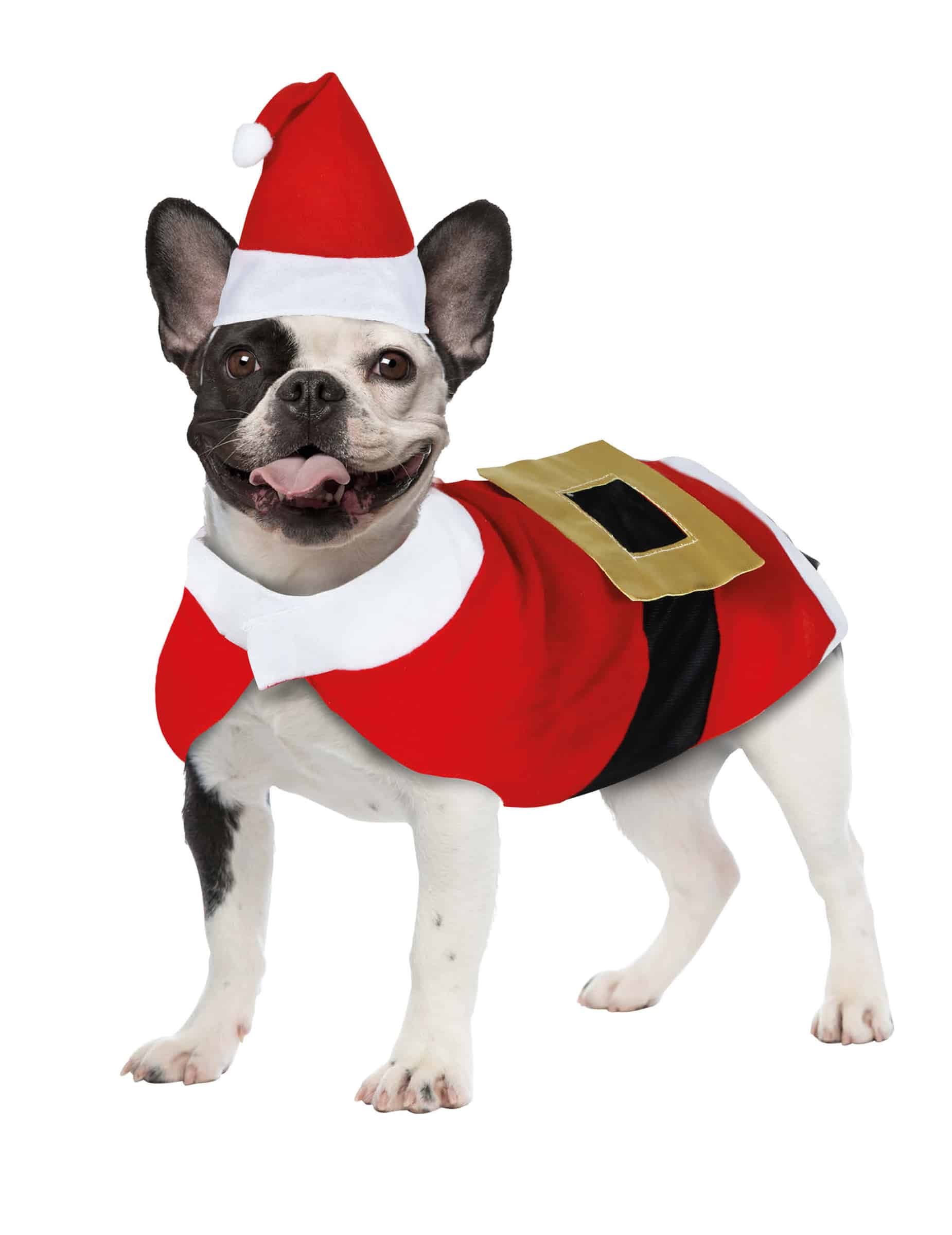 Weihnachts Kostüm für Hund kleiner Weihnachtsmann Outfit