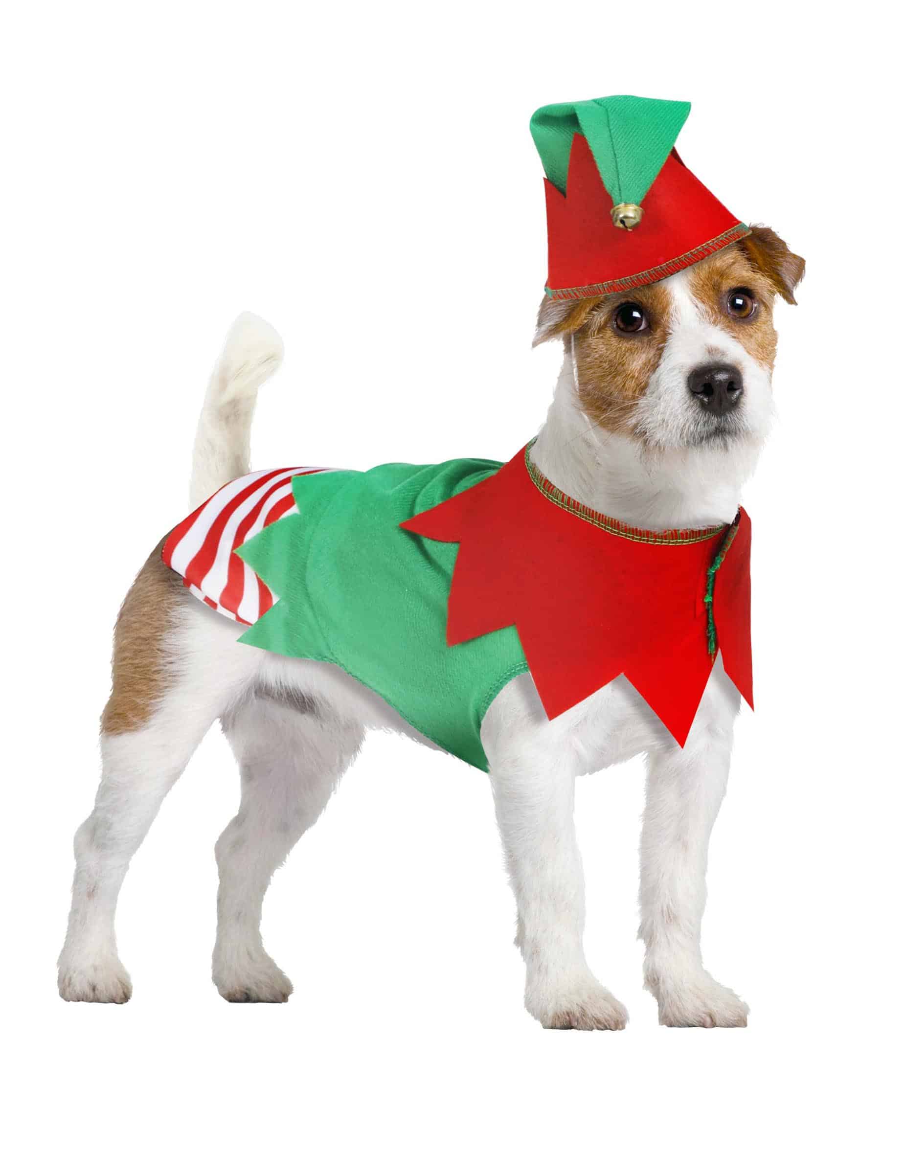 Weihnachtself Kostüm für Hunde